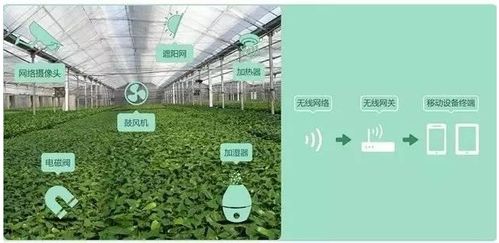 物联网监控系统在排灌设备中的应用探析